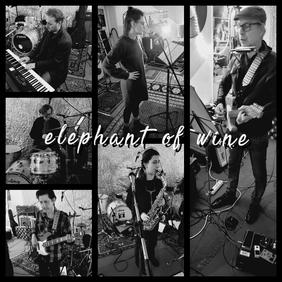 diverse Bilder von Elephant of wine