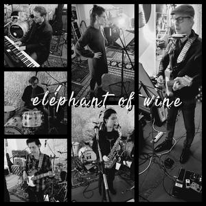 diverse Bilder von Elephant of wine