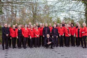 Das Akkordeon Orchester